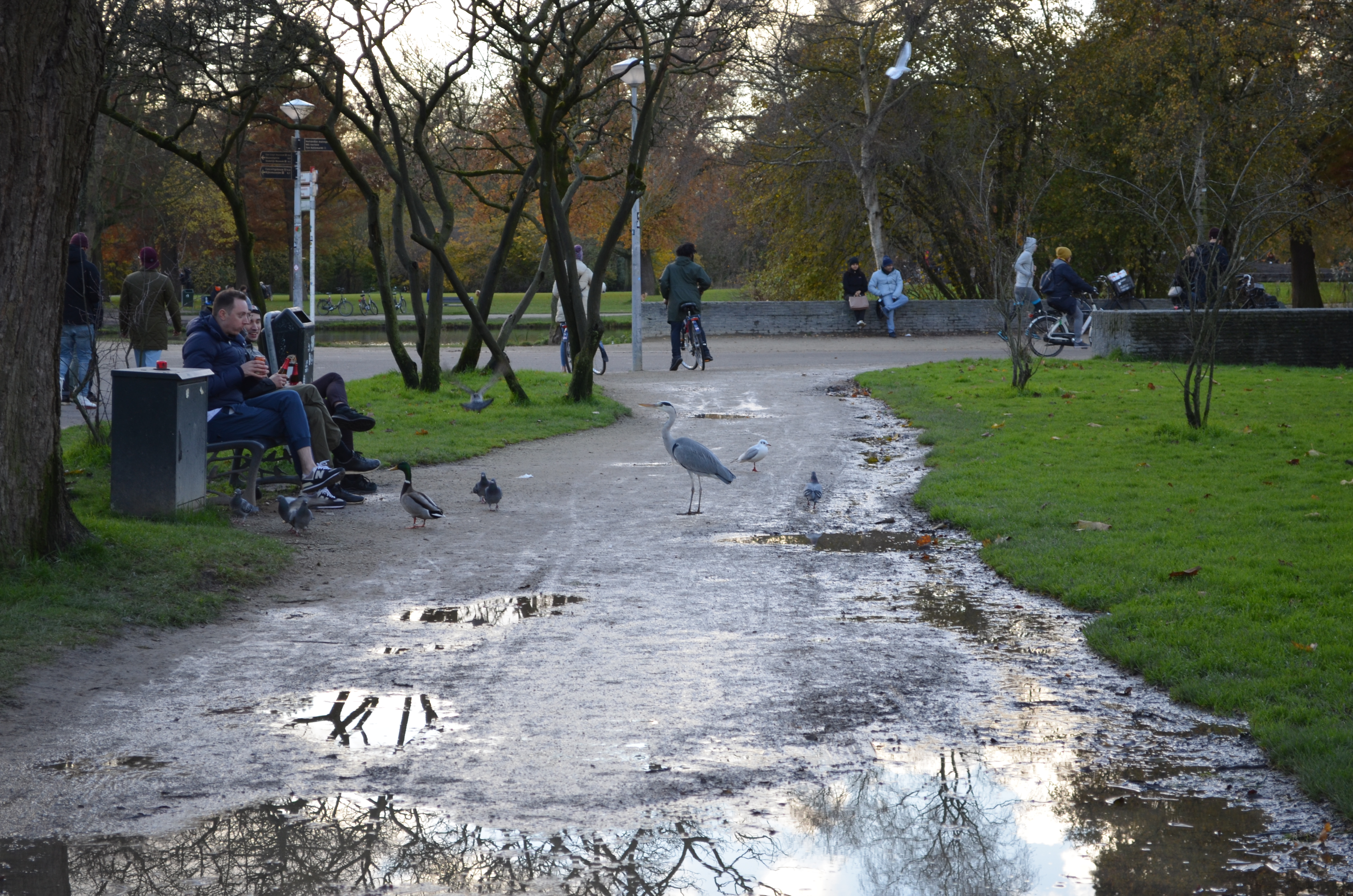 ./2017/19 - Viking Lif/13 - Amsterdam, The Netherlands/DSC_0539.JPG